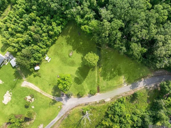 12226 and 12246 Peter Bourgeois Rd, St Amant, LA 70774