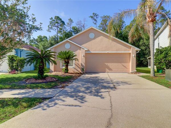 30316 DOUBLE DRIVE , WESLEY CHAPEL, FL 33545