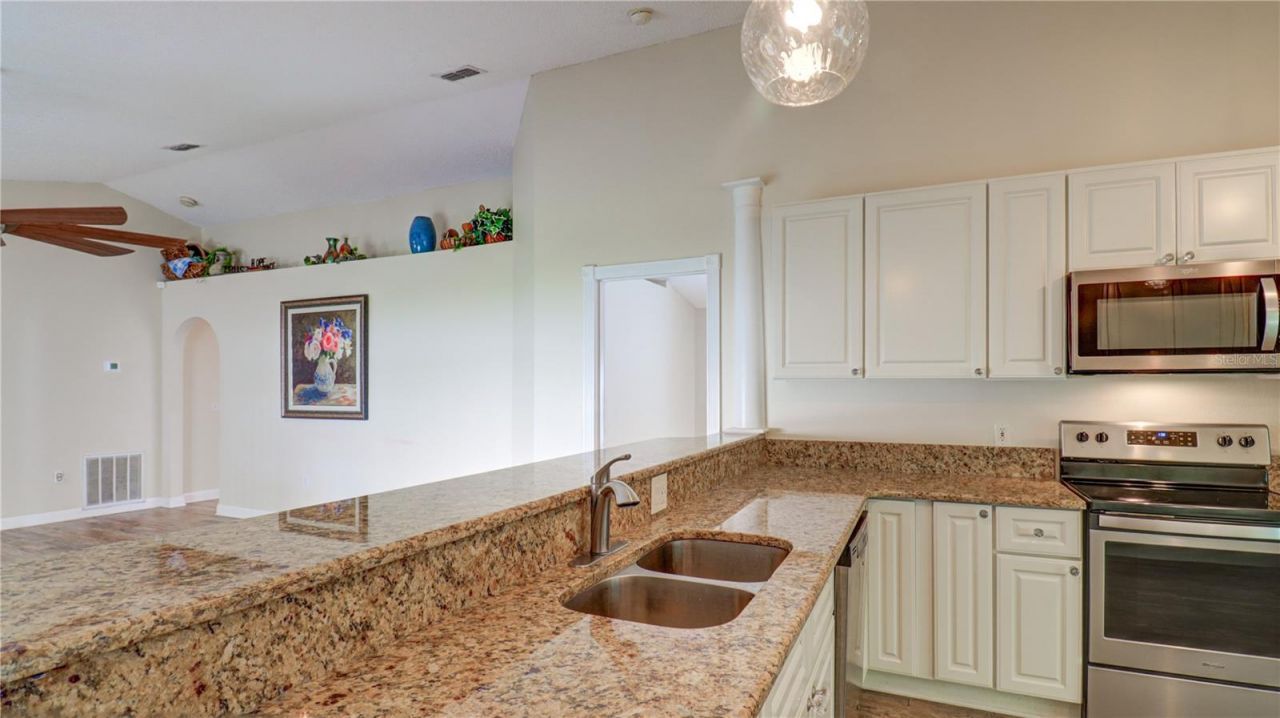 30316 Double Drive , Wesley Chapel, FL 33545 Photo