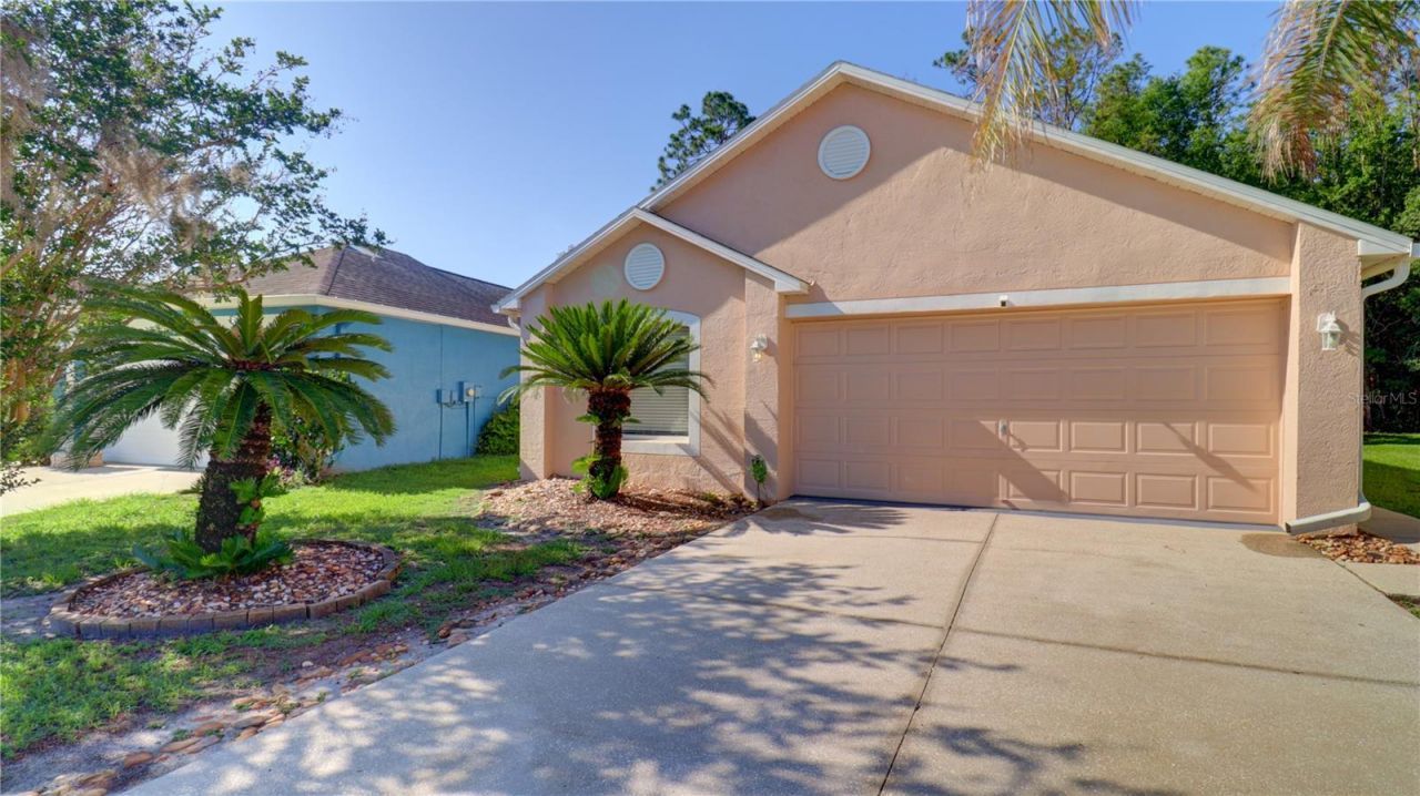30316 Double Drive , Wesley Chapel, FL 33545 Photo
