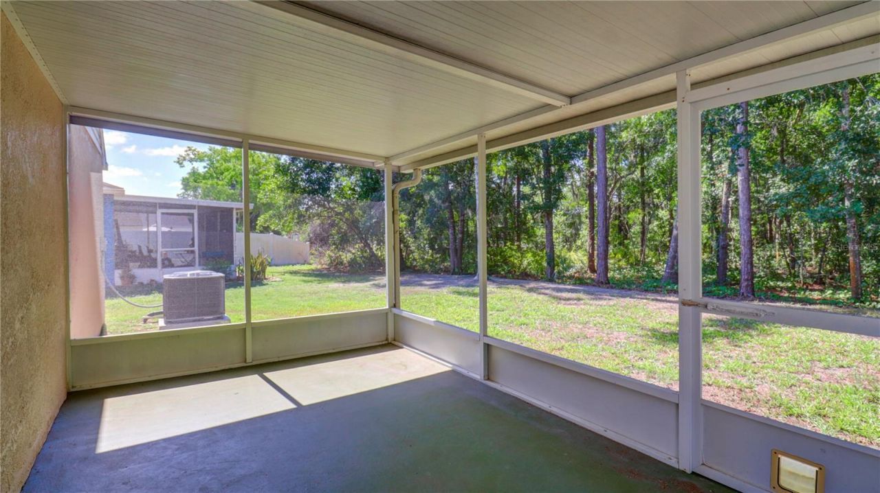 30316 Double Drive , Wesley Chapel, FL 33545 Photo