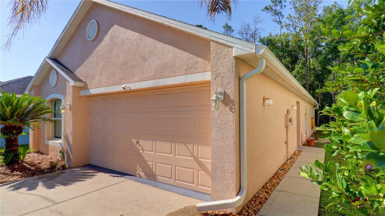 30316 Double Drive , Wesley Chapel, FL 33545 Photo