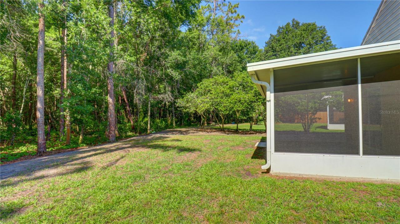 30316 Double Drive , Wesley Chapel, FL 33545 Photo