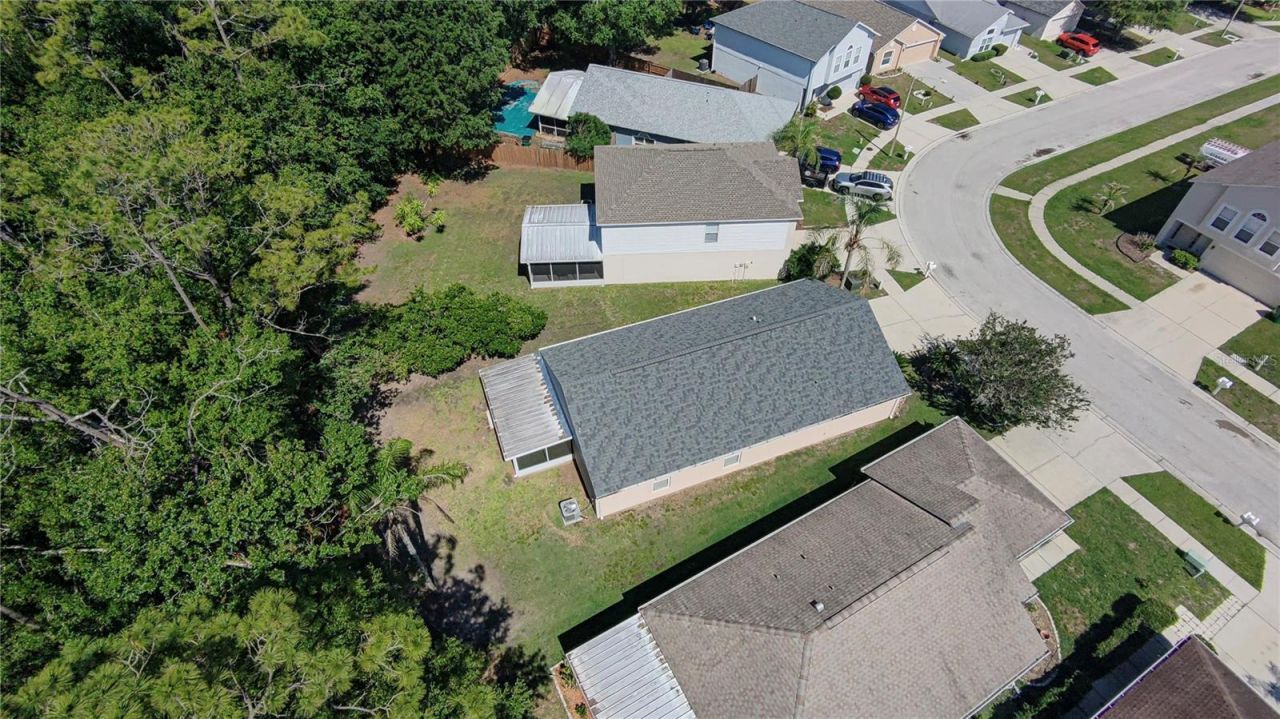 30316 Double Drive , Wesley Chapel, FL 33545 Photo