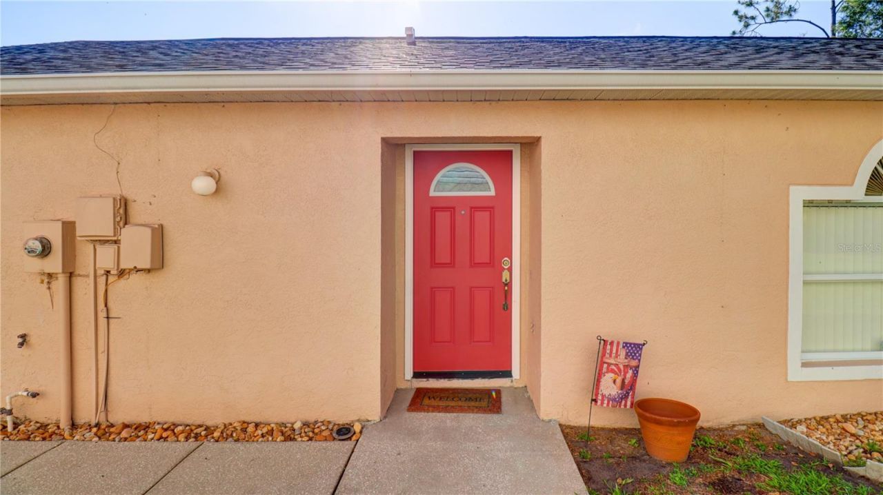 30316 Double Drive , Wesley Chapel, FL 33545 Photo