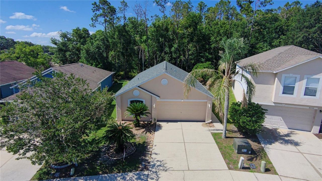 30316 Double Drive , Wesley Chapel, FL 33545 Photo