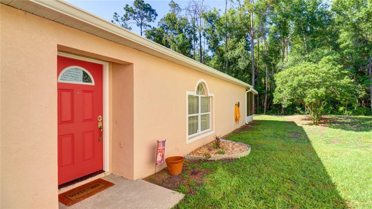 30316 Double Drive , Wesley Chapel, FL 33545 Photo