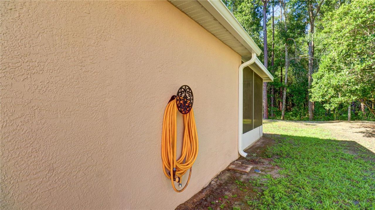 30316 Double Drive , Wesley Chapel, FL 33545 Photo