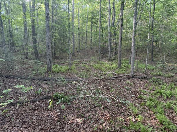 1672 Besstown Road, Beersheba Springs, TN 37305