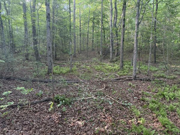 1672 Besstown Road , Beersheba Springs, TN 37305