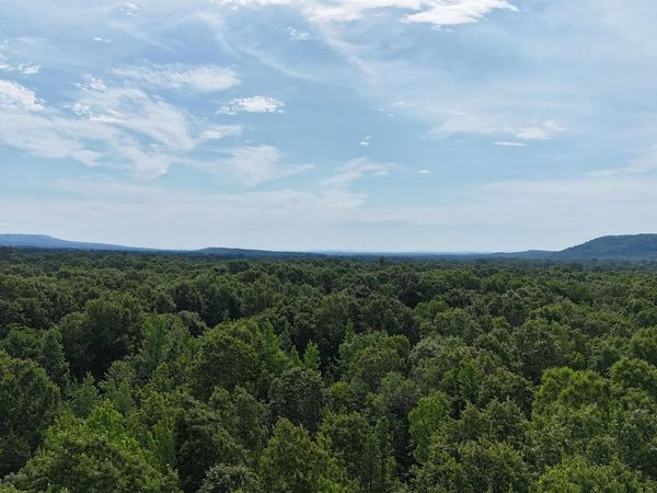 Dardanelle, AR 72834