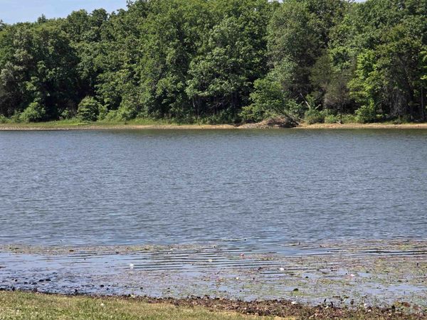 L-11, B-9 N Lake Drive, Horseshoe Bend, AR 72512