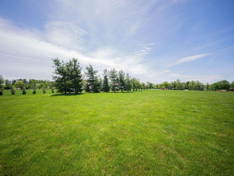 16725 Raintree Drive, Marysville, OH 43040 Photo 69