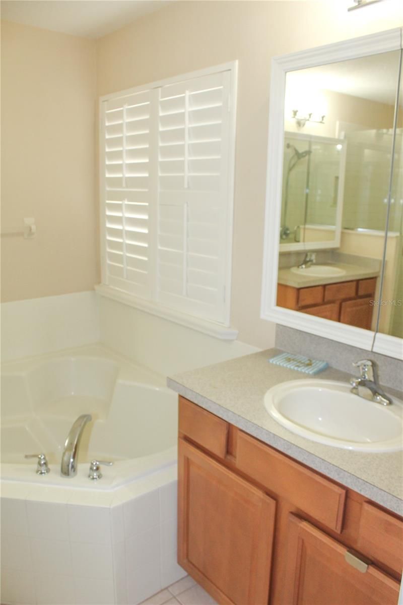 14252 Confetti Drive, Windermere, FL 34786 Photo