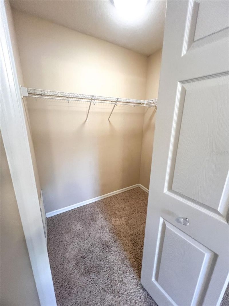 14252 Confetti Drive, Windermere, FL 34786 Photo