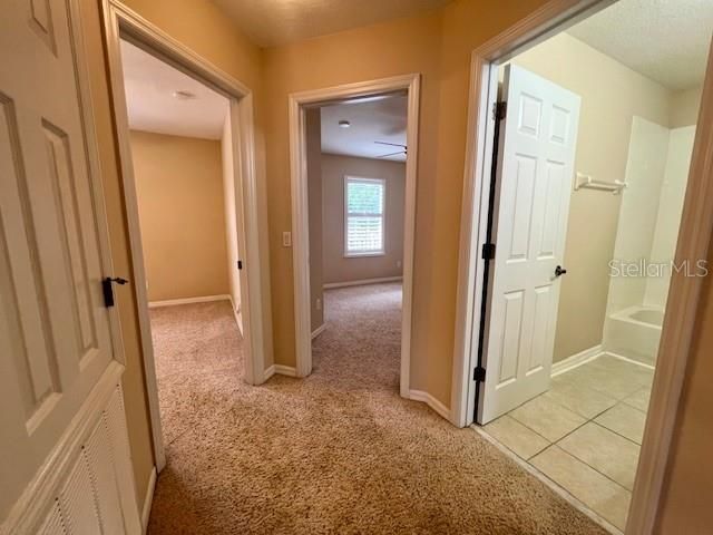 14252 Confetti Drive, Windermere, FL 34786 Photo