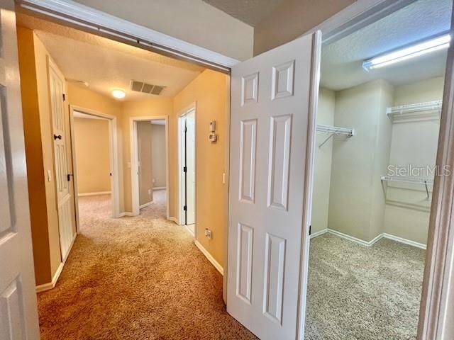 14252 Confetti Drive, Windermere, FL 34786 Photo