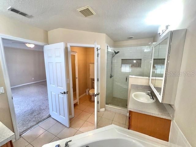 14252 Confetti Drive, Windermere, FL 34786 Photo