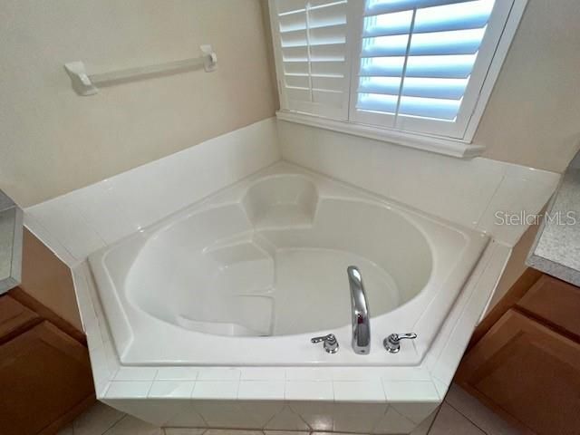 14252 Confetti Drive, Windermere, FL 34786 Photo