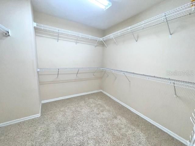 14252 Confetti Drive, Windermere, FL 34786 Photo