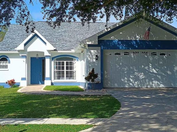 2401 TANGERINE HILL COURT , LUTZ, FL 33549