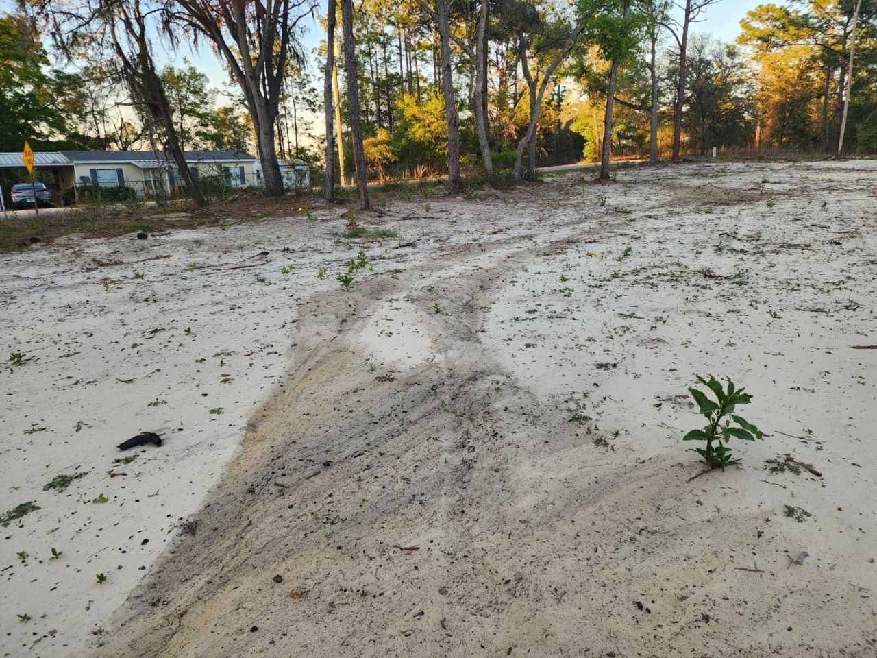Sw 110th Court , Dunnellon, FL 34432 Photo