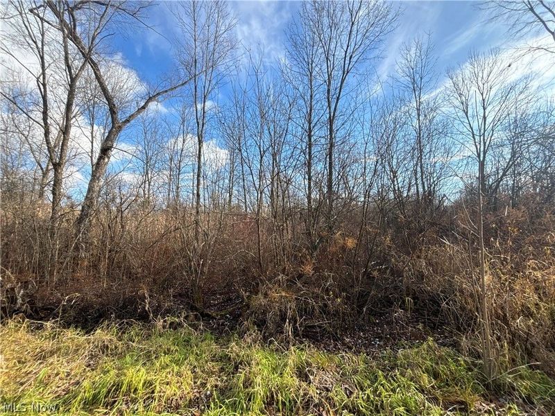 10775 Bell Road , Newbury, OH 44065 Photo 3