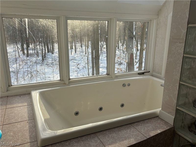 10765 Bell Road , Newbury, OH 44065 Photo 18