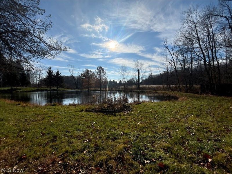 10765 Bell Road , Newbury, OH 44065 Photo 29