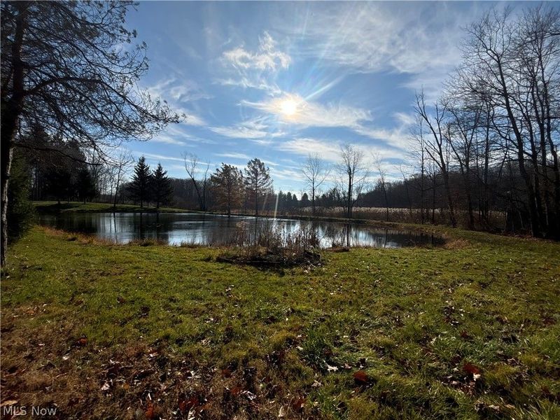 10765 Bell Road , Newbury, OH 44065 Photo 34