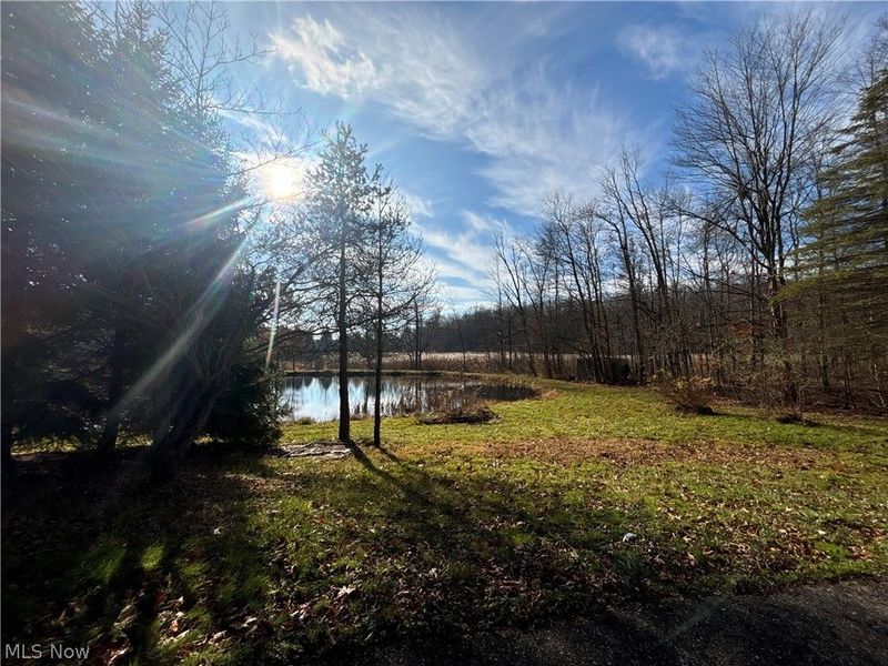 10785 Bell Road , Newbury, OH 44065 Photo 12
