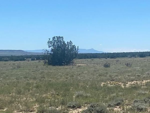 Longhorn Ranch, Model, CO 81059