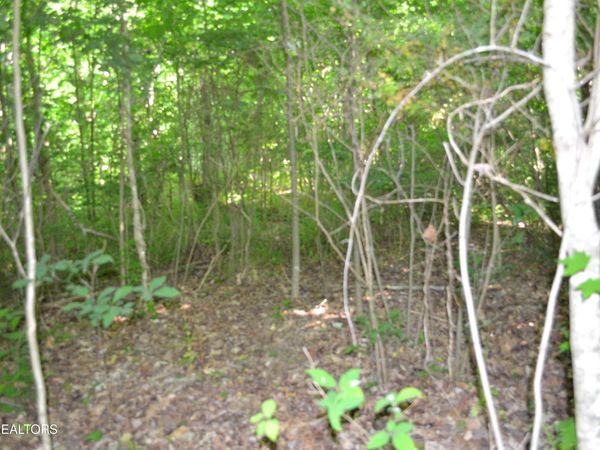 5ac Dynamite Lane, Livingston, TN 38570