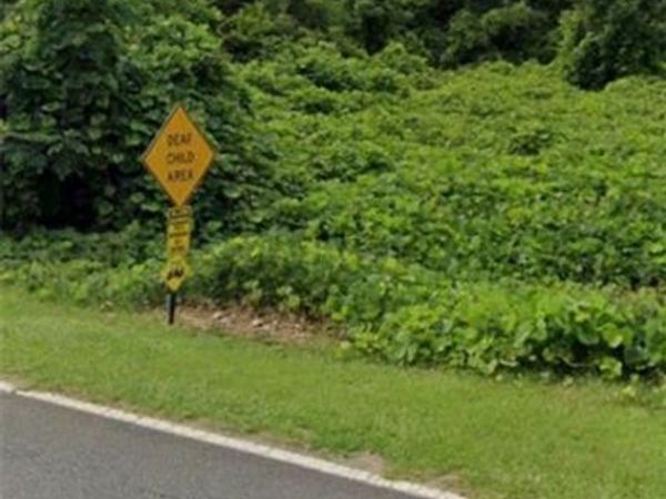 1568 Griffin Road , Macon, GA 31216