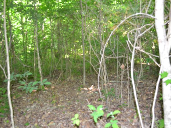 0 Dynamite Ln , Livingston, TN 38570