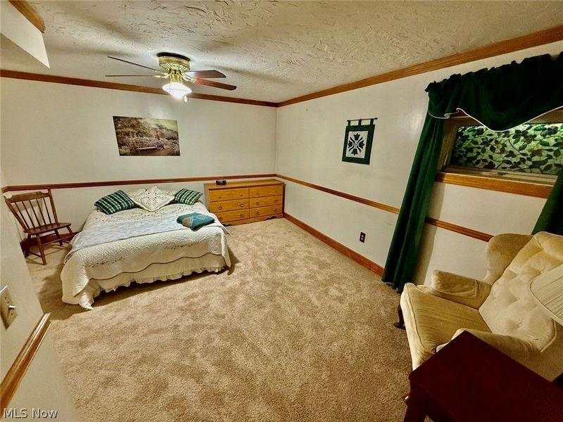 9090 Peasley Road, Brownhelm, OH 44001 Photo 11