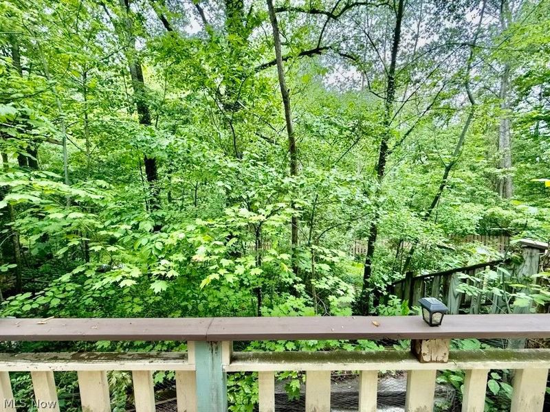 9090 Peasley Road, Brownhelm, OH 44001 Photo 21