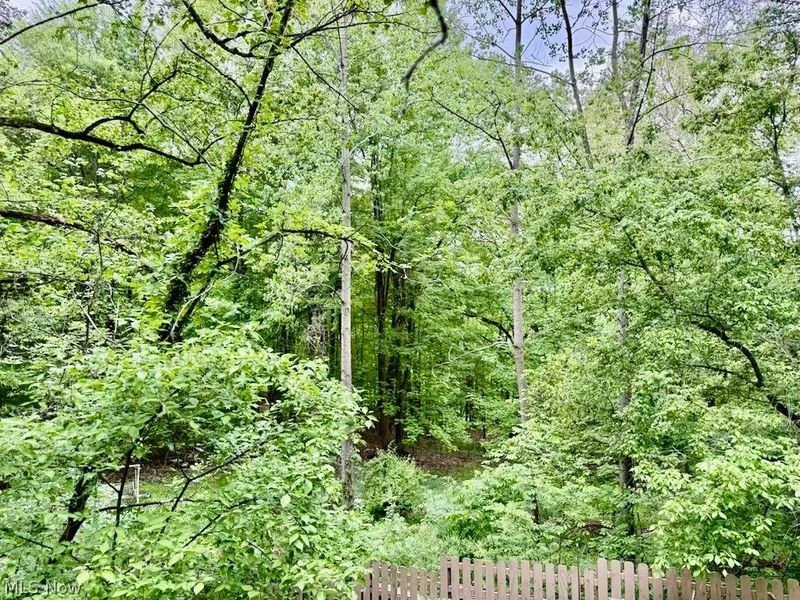 9090 Peasley Road, Brownhelm, OH 44001 Photo 23