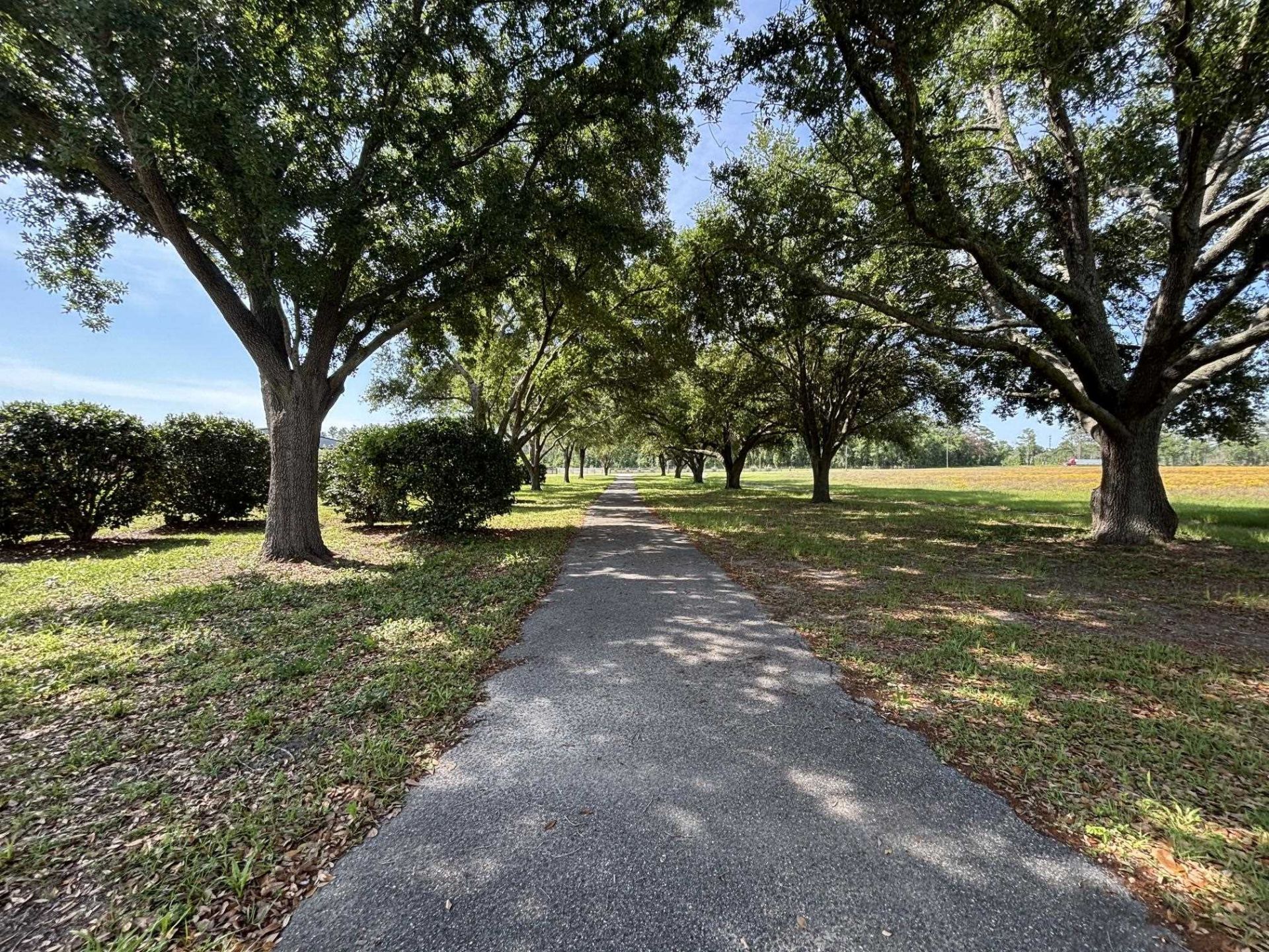 855 NE Delphinium Drive , Lee, FL 32340 Photo