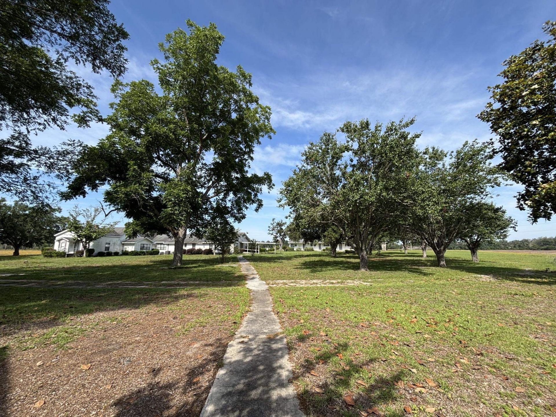 855 NE Delphinium Drive , Lee, FL 32340 Photo