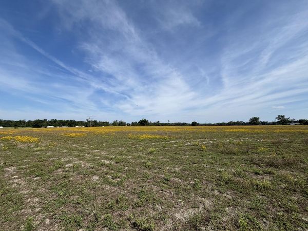 Vacant NE Dill Street , Lee, FL 32340