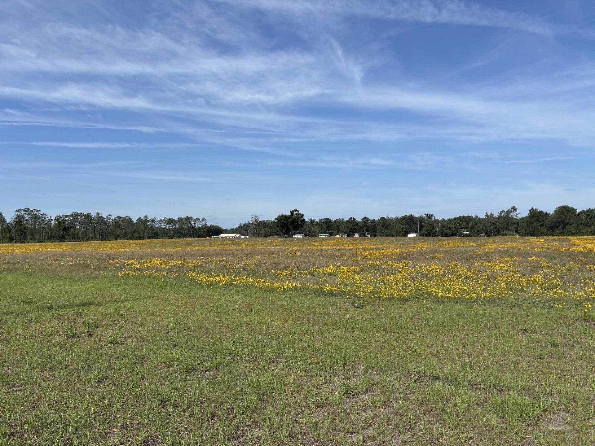 Vacant NE Dill Street , Lee, FL 32340 Photo