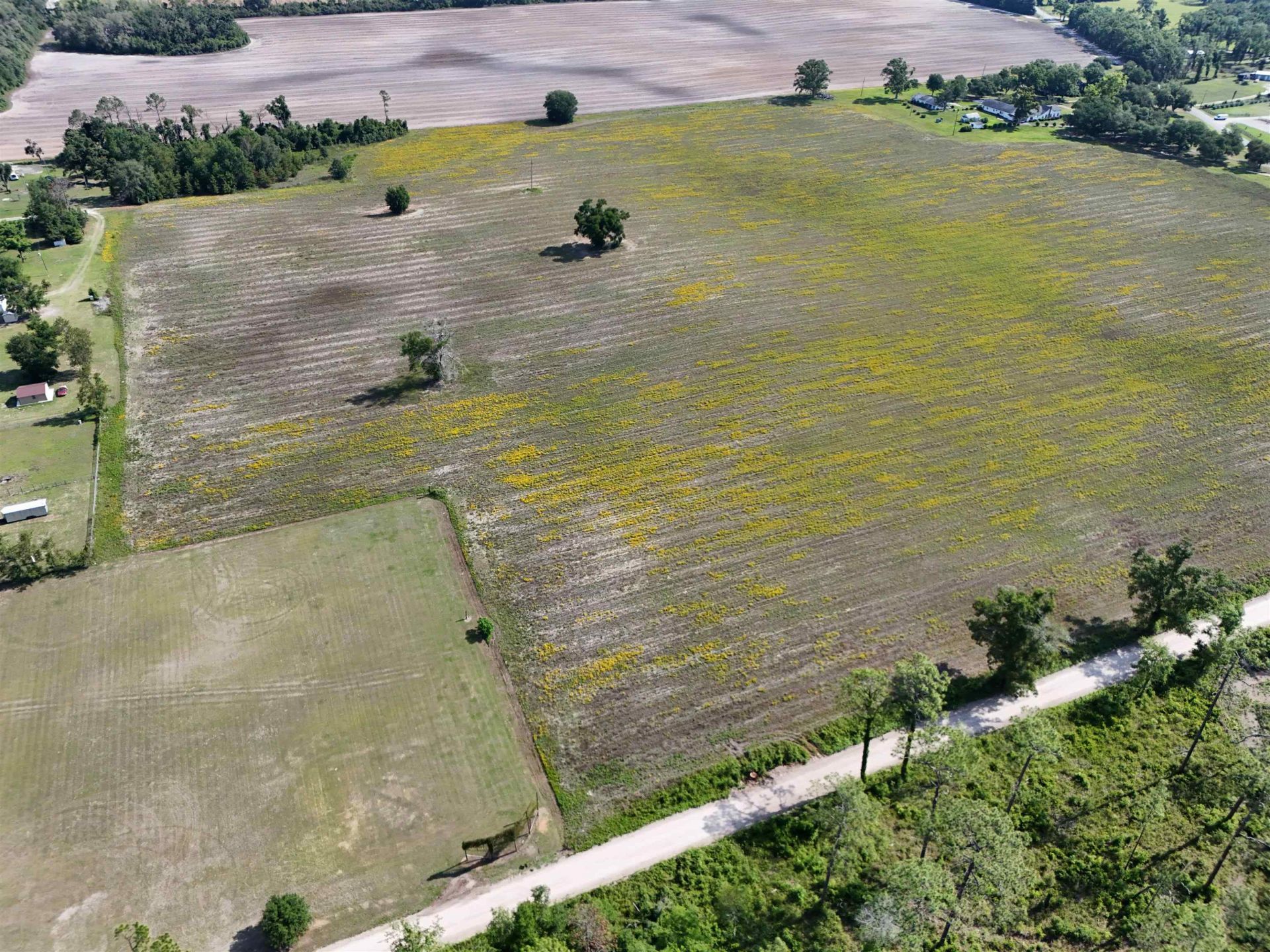Vacant NE Dill Street , Lee, FL 32340 Photo