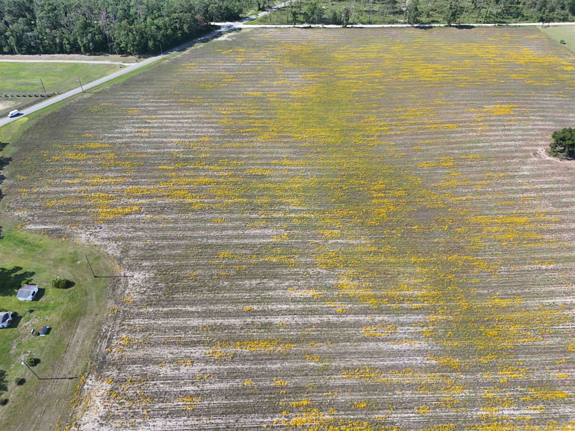 Vacant NE Dill Street , Lee, FL 32340 Photo