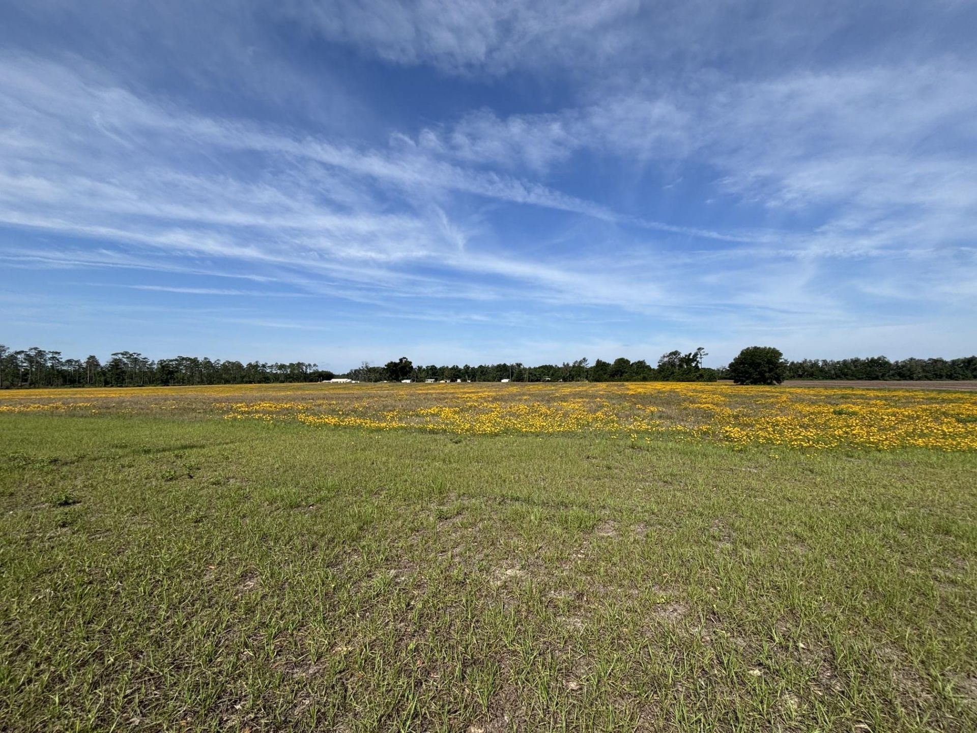 Vacant NE Dill Street , Lee, FL 32340 Photo