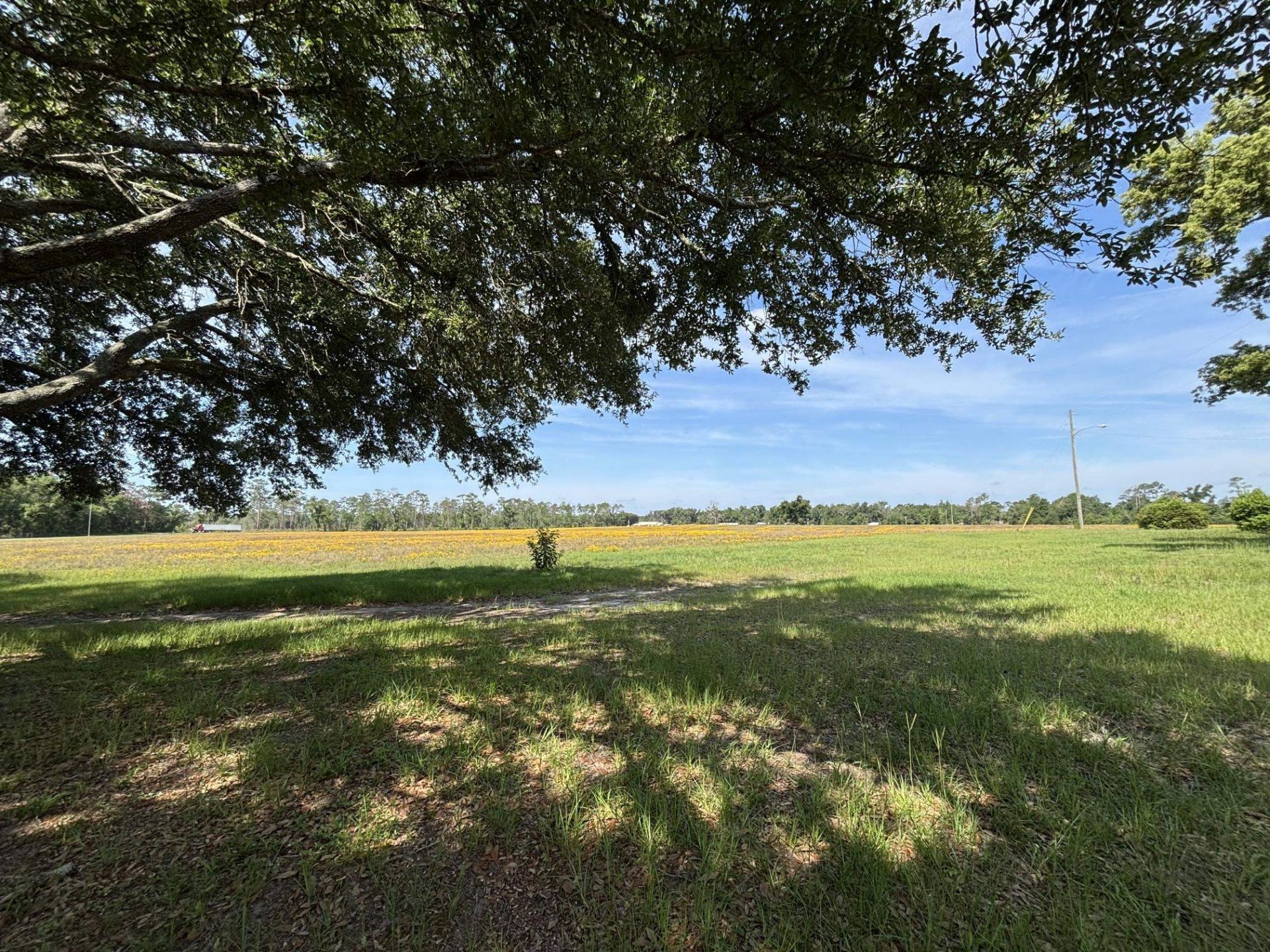 Vacant NE Dill Street , Lee, FL 32340 Photo