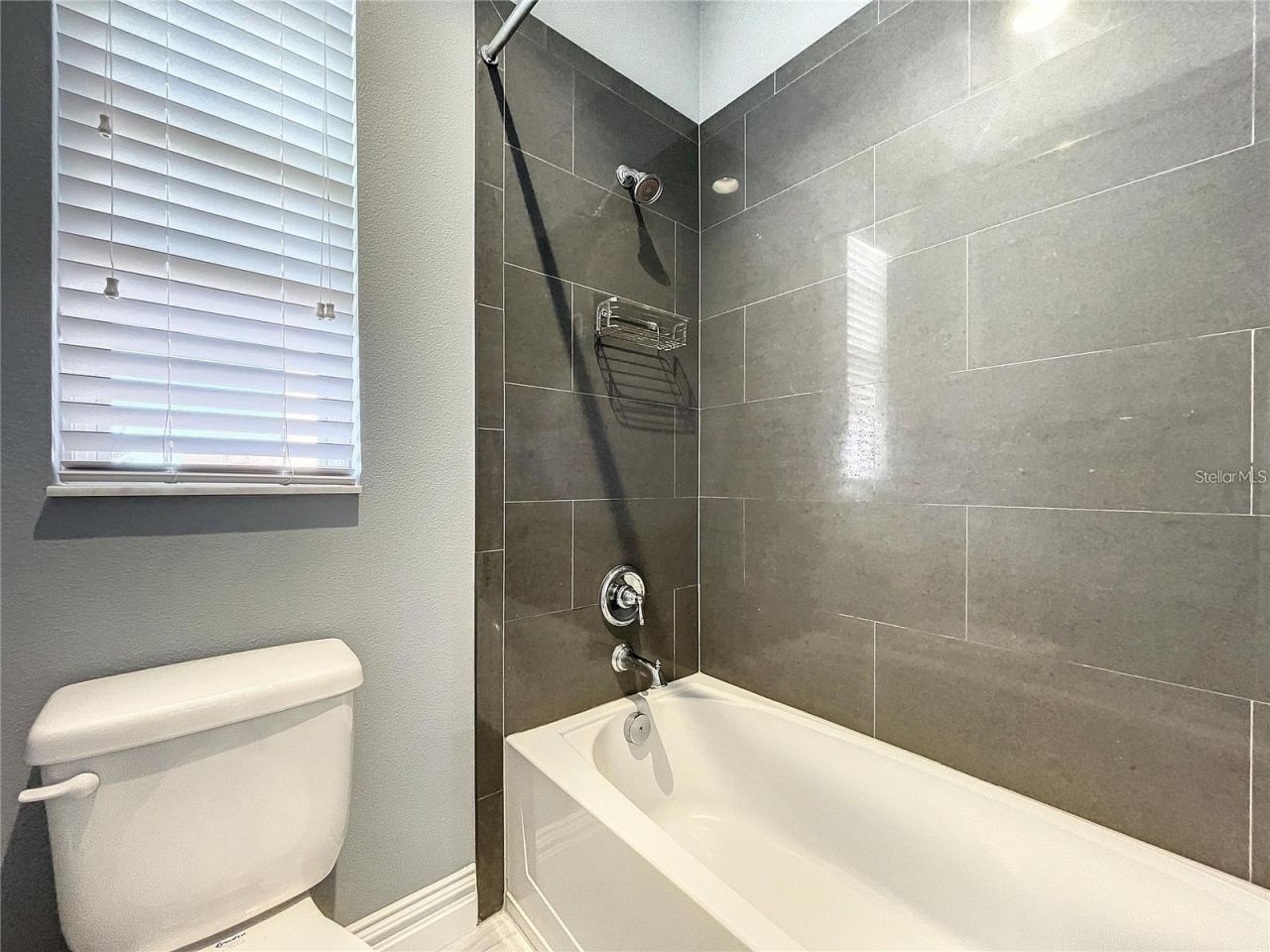 14322 Parkside Ridge Way, Lithia, FL 33547 Photo