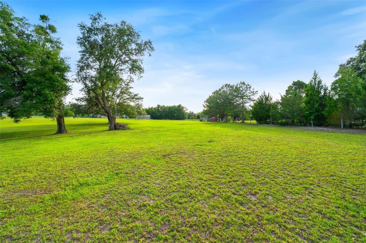 6739 SE 67th Court, Trenton, FL 32693 Photo