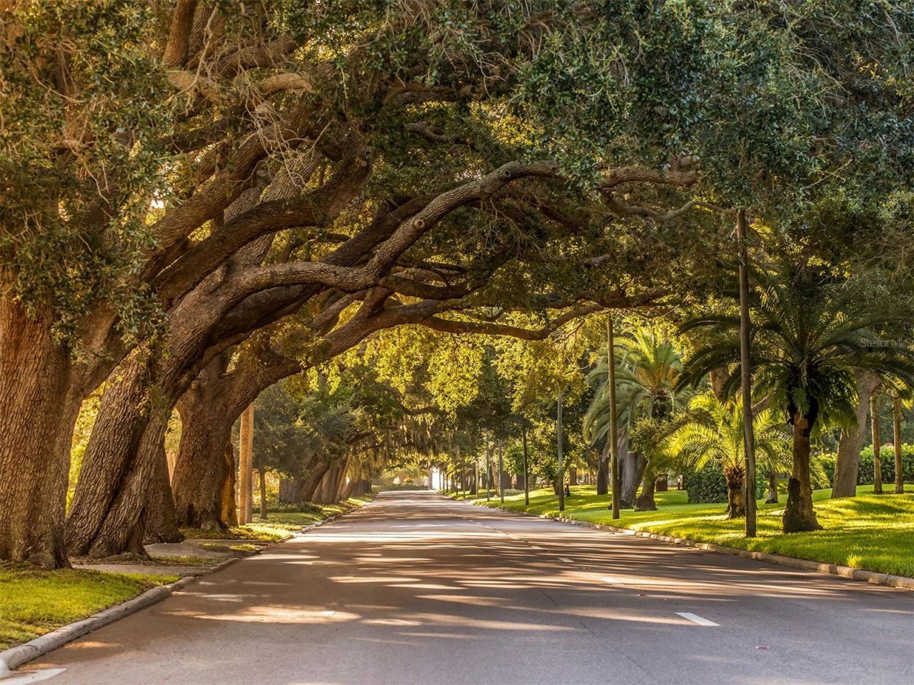500 Alhambra Road, Venice, FL 34285 Photo
