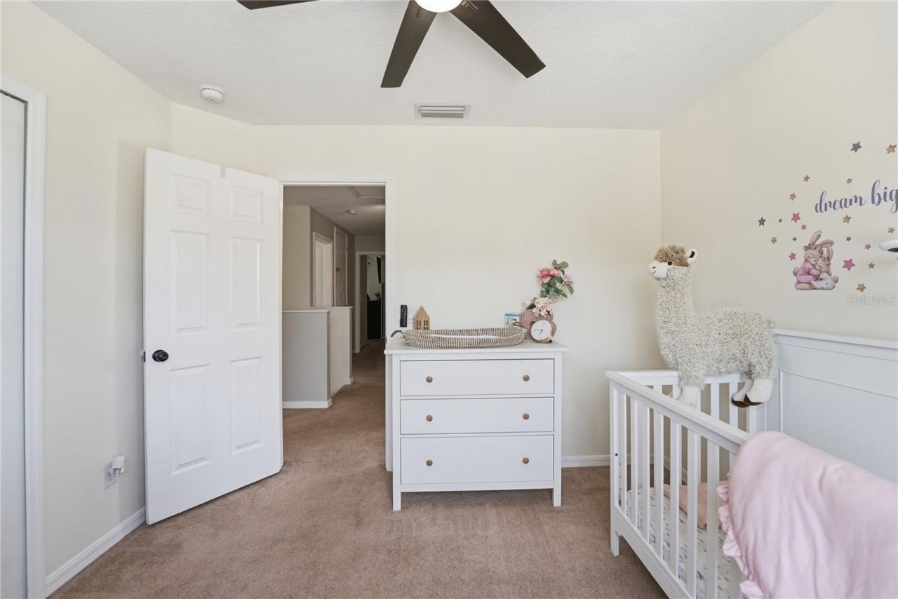 12942 Fennway Ridge Drive, Riverview, FL 33579 Photo